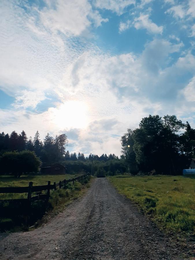 Domek Maly Czar Czarnow  Dış mekan fotoğraf