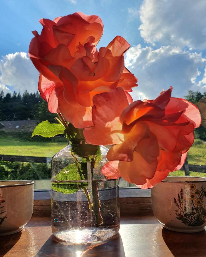 Domek Maly Czar Czarnow  Dış mekan fotoğraf
