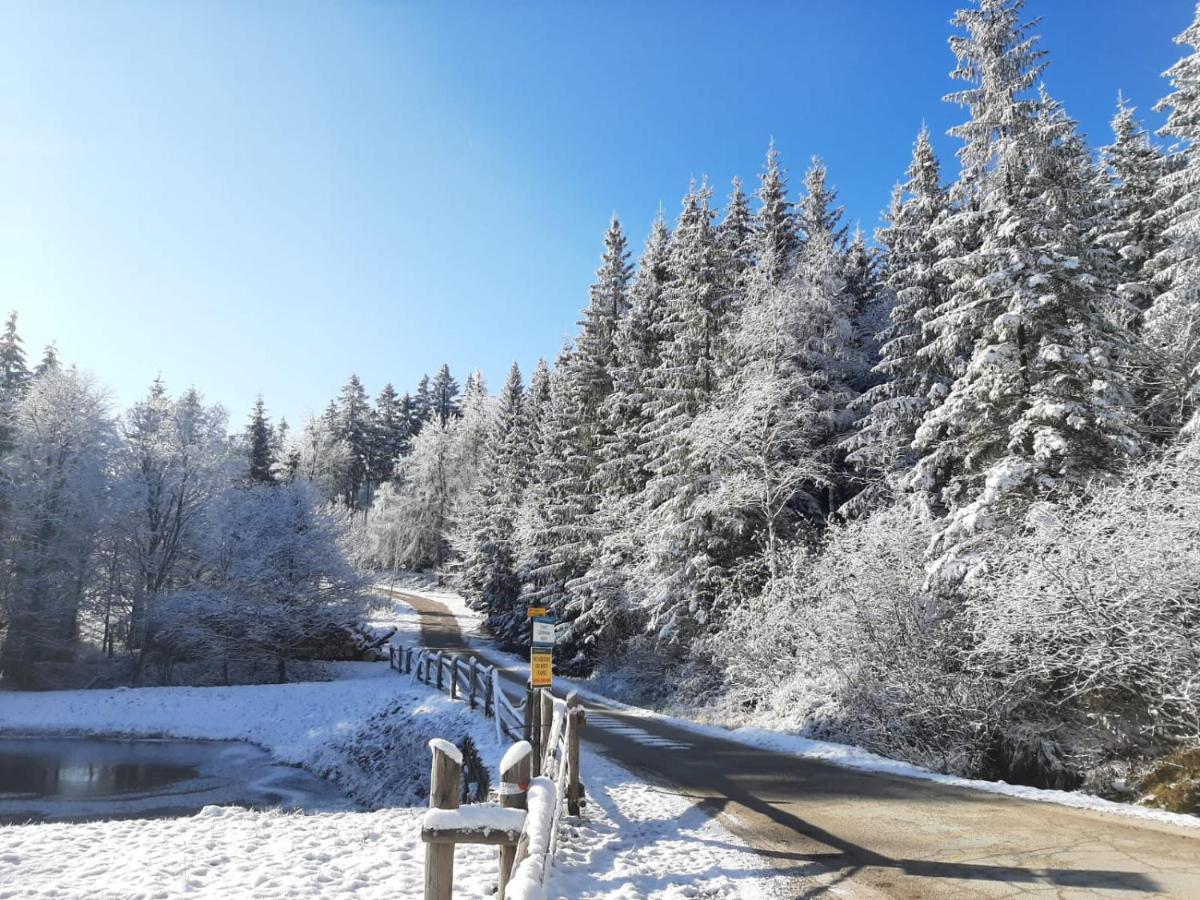 Domek Maly Czar Czarnow  Dış mekan fotoğraf